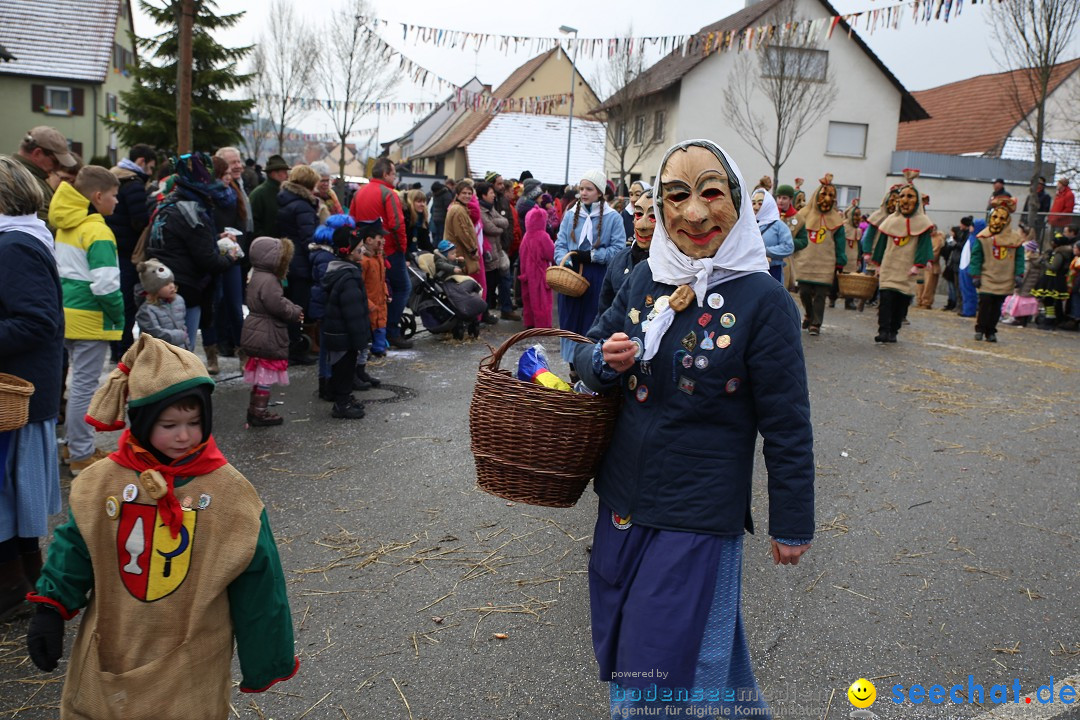 Fasnachtsumzug und Narrentage: Welschingen, 24.01.2016