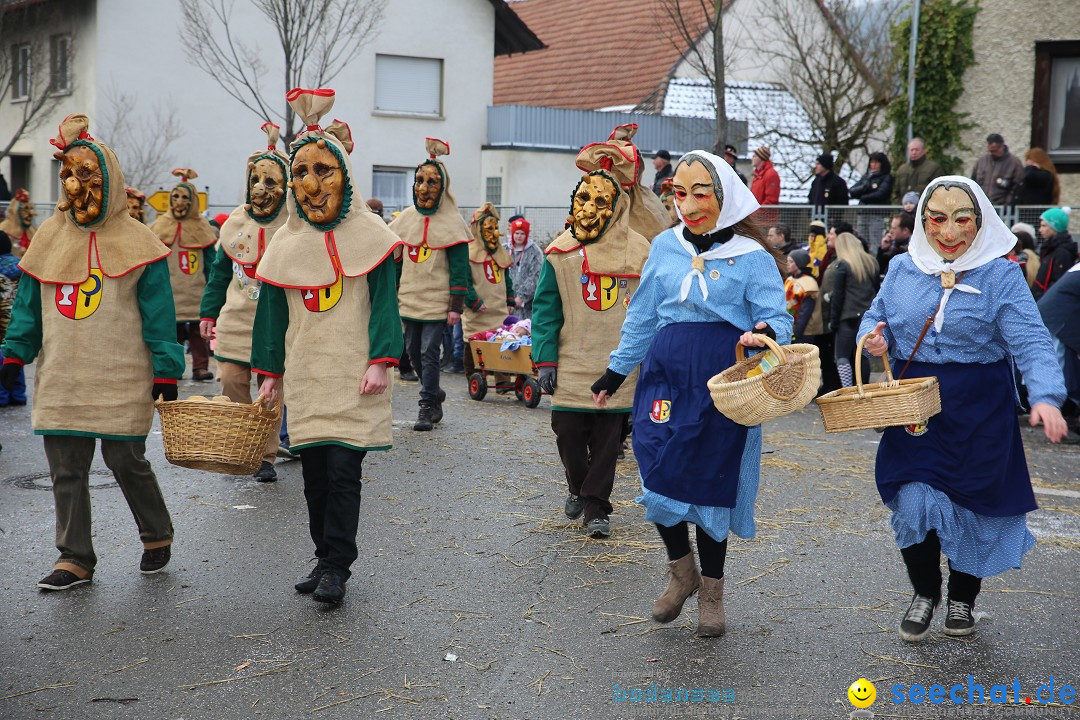 Fasnachtsumzug und Narrentage: Welschingen, 24.01.2016