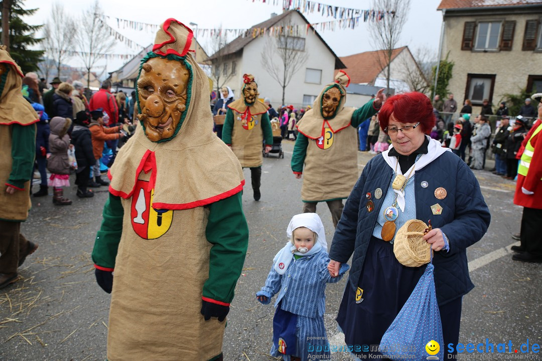 Fasnachtsumzug und Narrentage: Welschingen, 24.01.2016