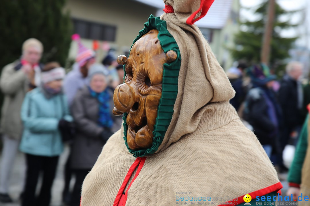 Fasnachtsumzug und Narrentage: Welschingen, 24.01.2016