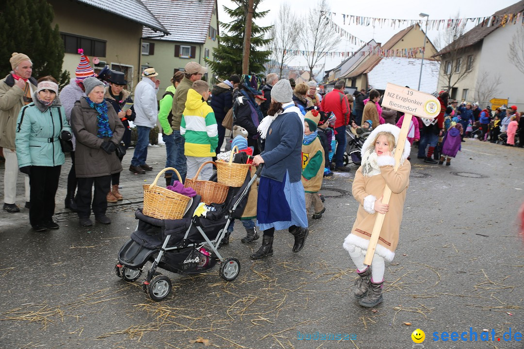 Fasnachtsumzug und Narrentage: Welschingen, 24.01.2016