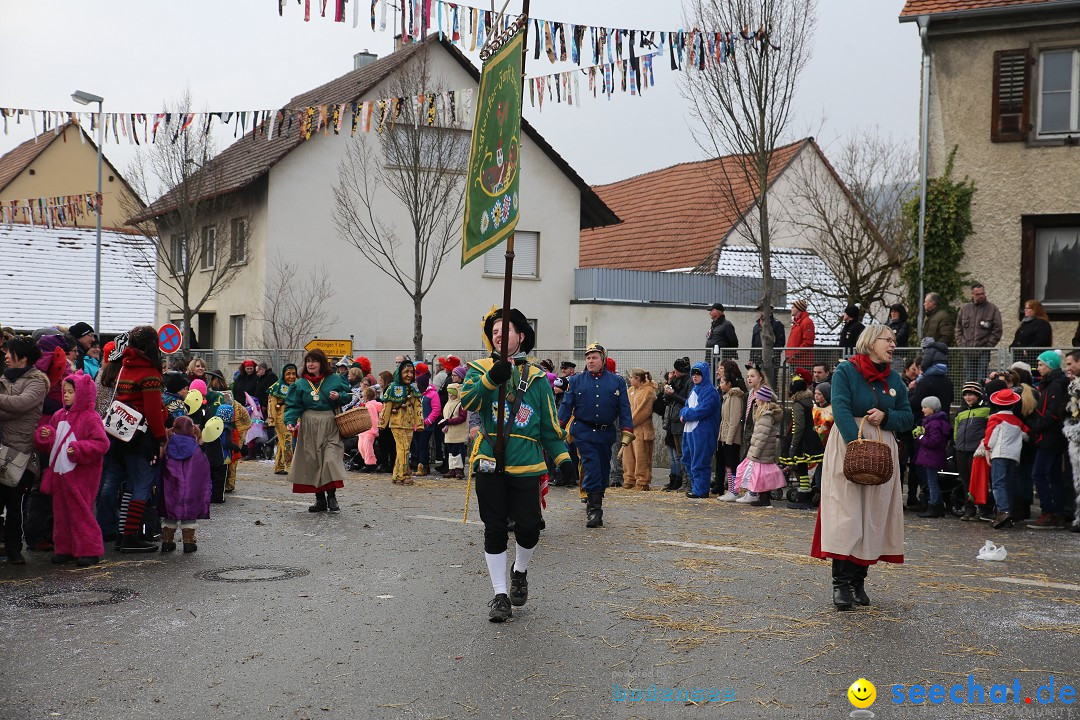 Fasnachtsumzug und Narrentage: Welschingen, 24.01.2016