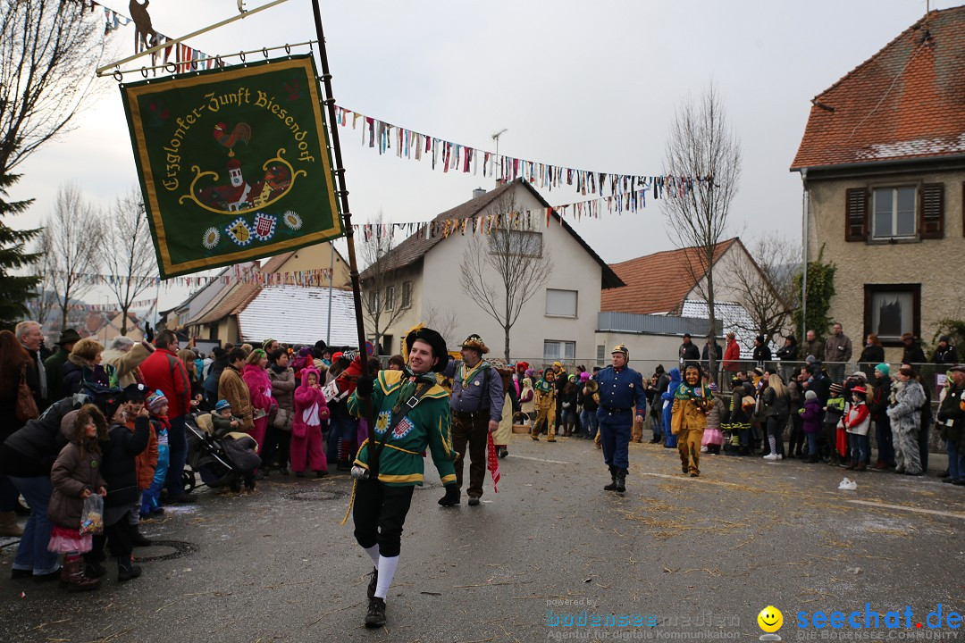 Fasnachtsumzug und Narrentage: Welschingen, 24.01.2016