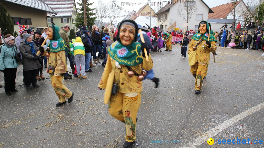 Fasnachtsumzug und Narrentage: Welschingen, 24.01.2016