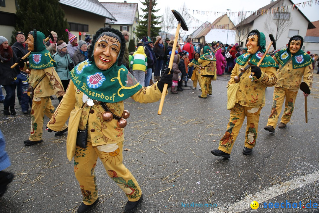 Fasnachtsumzug und Narrentage: Welschingen, 24.01.2016