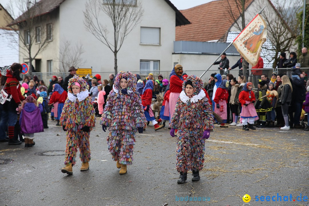 Fasnachtsumzug und Narrentage: Welschingen, 24.01.2016