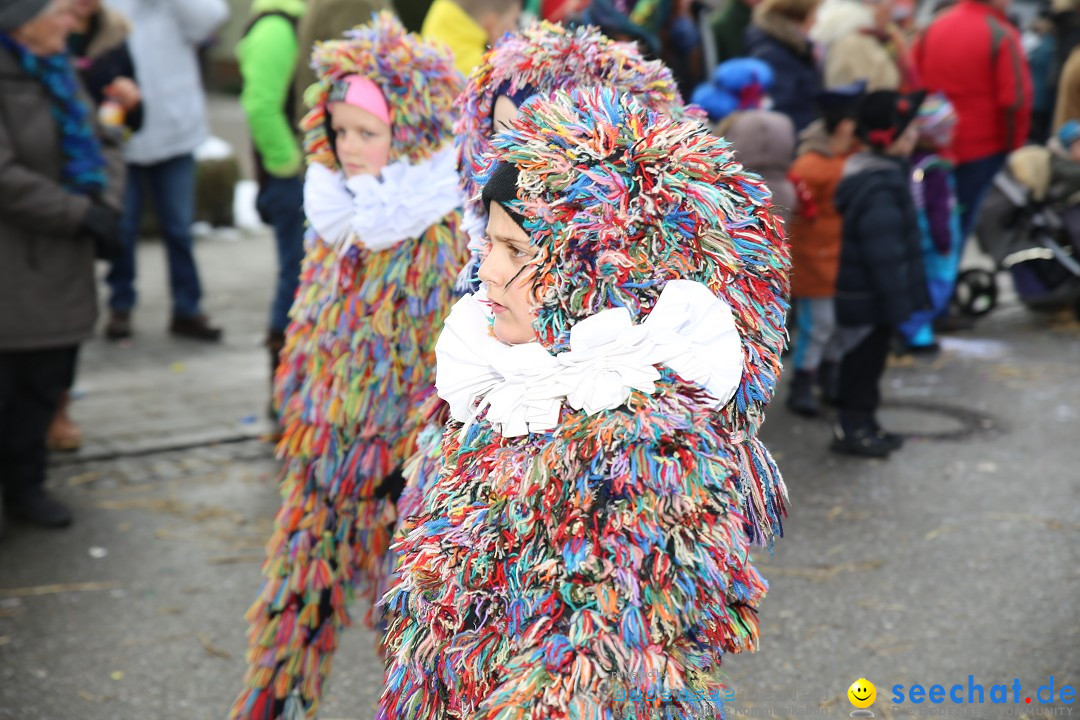 Fasnachtsumzug und Narrentage: Welschingen, 24.01.2016