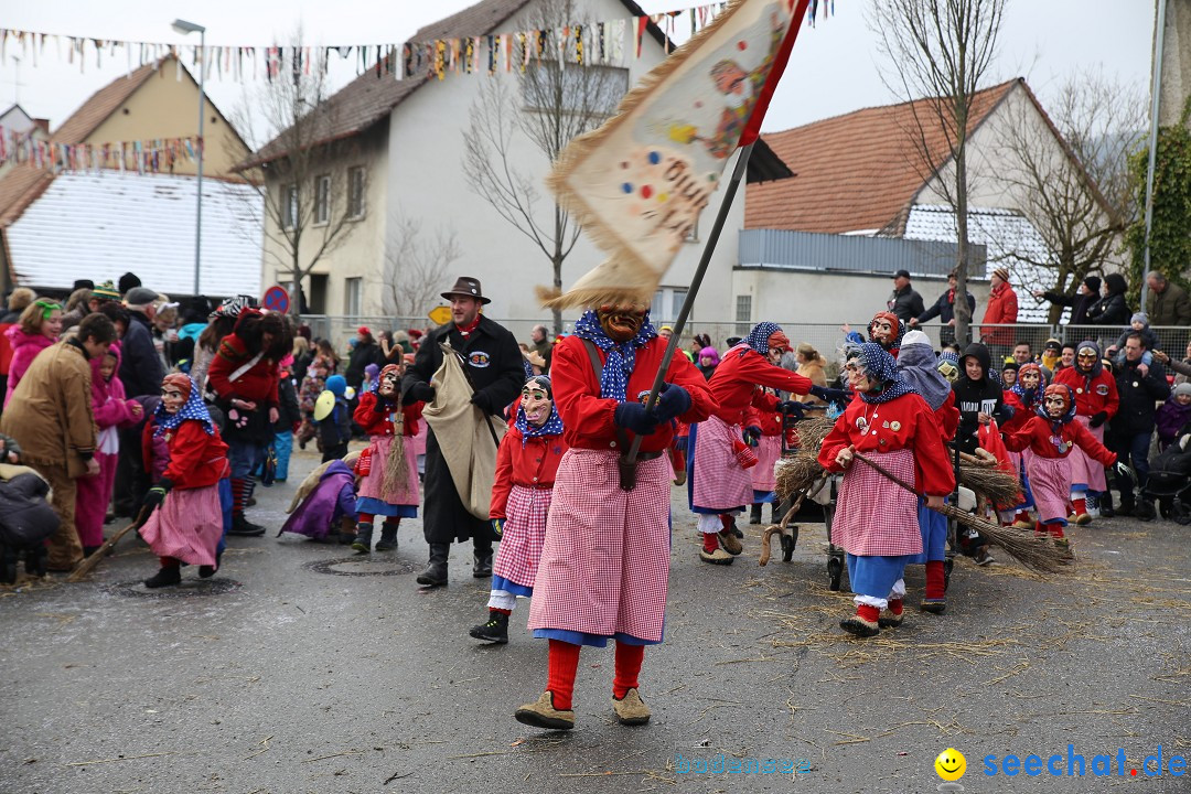 Fasnachtsumzug und Narrentage: Welschingen, 24.01.2016