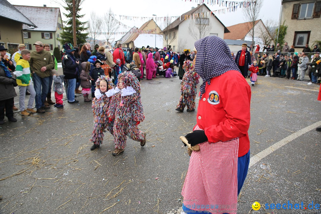 Fasnachtsumzug und Narrentage: Welschingen, 24.01.2016