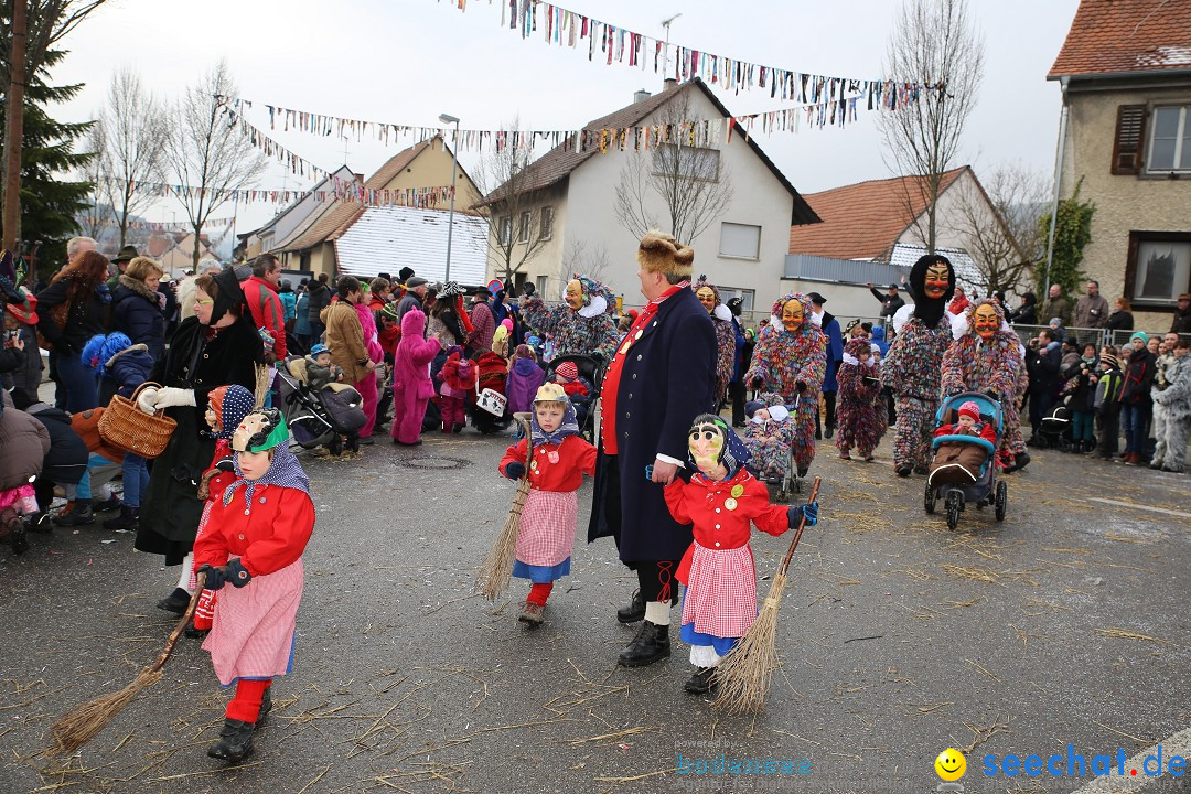 Fasnachtsumzug und Narrentage: Welschingen, 24.01.2016