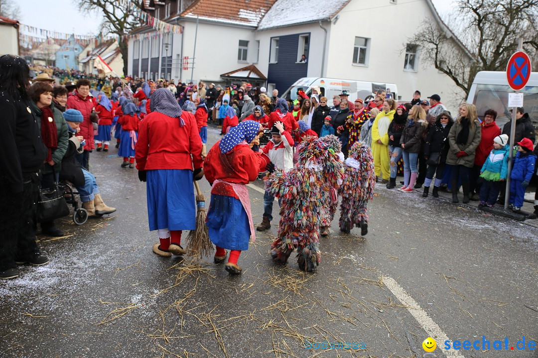 Fasnachtsumzug und Narrentage: Welschingen, 24.01.2016