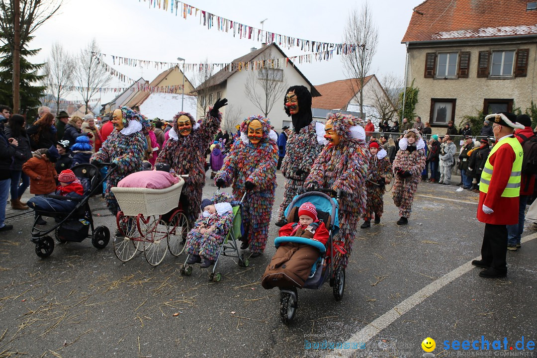 Fasnachtsumzug und Narrentage: Welschingen, 24.01.2016