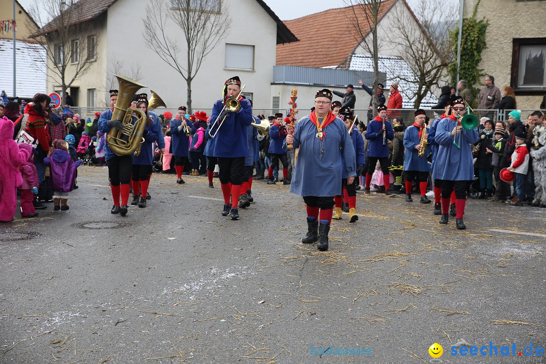 Fasnachtsumzug und Narrentage: Welschingen, 24.01.2016