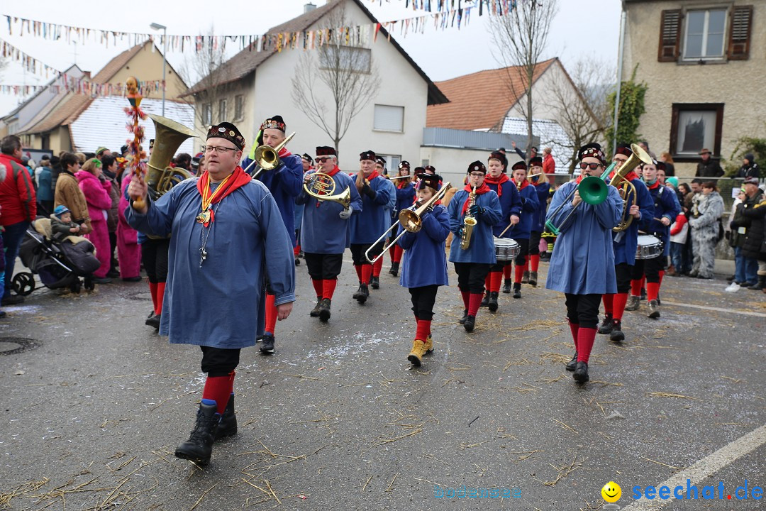 Fasnachtsumzug und Narrentage: Welschingen, 24.01.2016