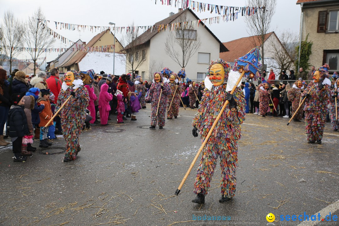 Fasnachtsumzug und Narrentage: Welschingen, 24.01.2016