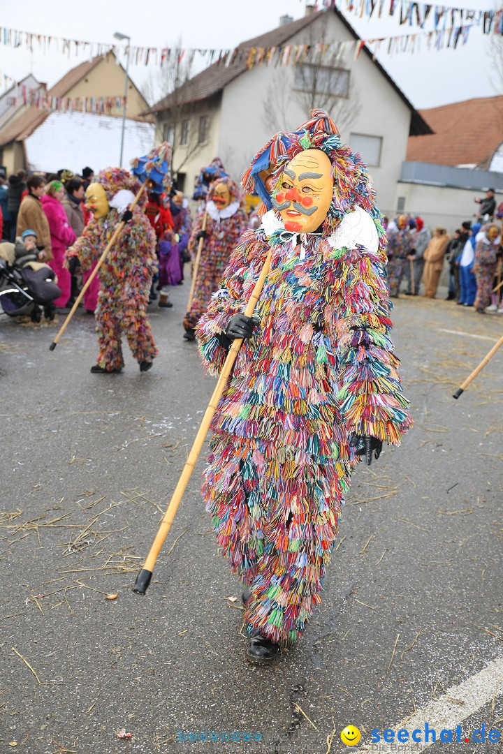 Fasnachtsumzug und Narrentage: Welschingen, 24.01.2016