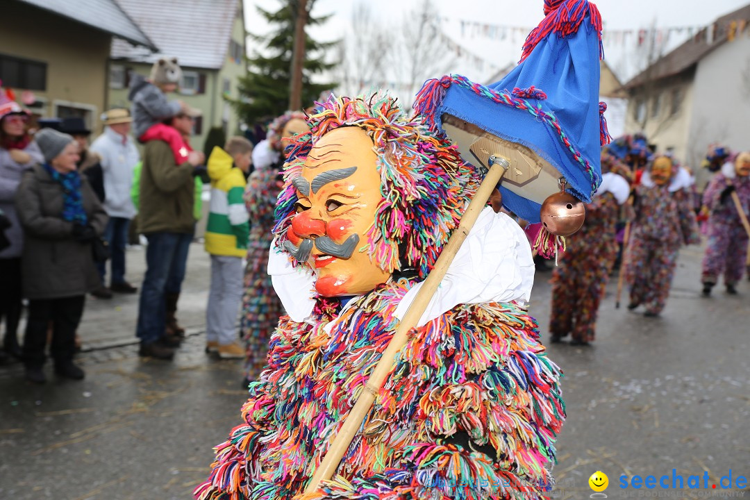 Fasnachtsumzug und Narrentage: Welschingen, 24.01.2016