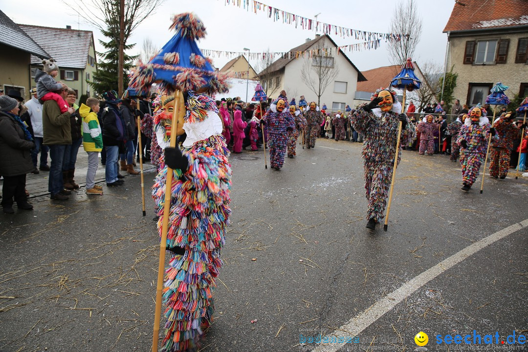 Fasnachtsumzug und Narrentage: Welschingen, 24.01.2016