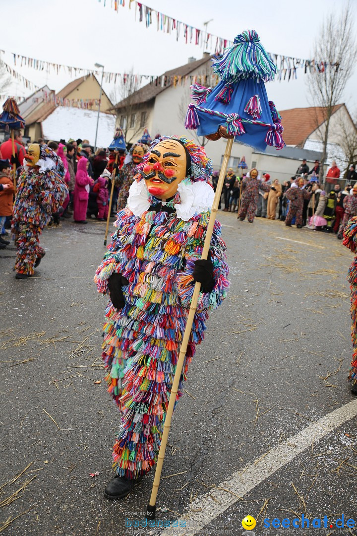 Fasnachtsumzug und Narrentage: Welschingen, 24.01.2016