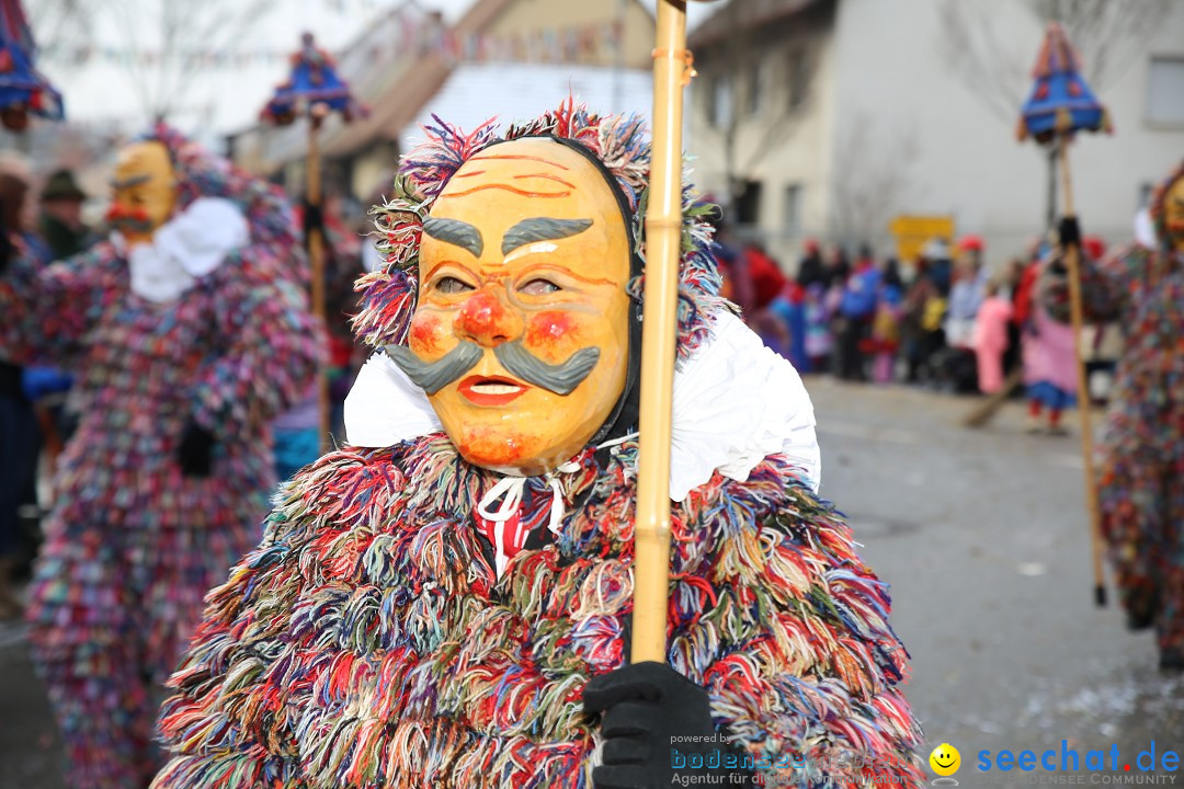 Fasnachtsumzug und Narrentage: Welschingen, 24.01.2016