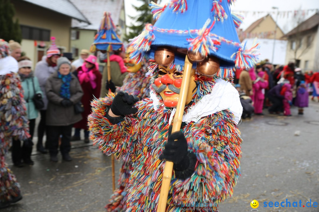 Fasnachtsumzug und Narrentage: Welschingen, 24.01.2016