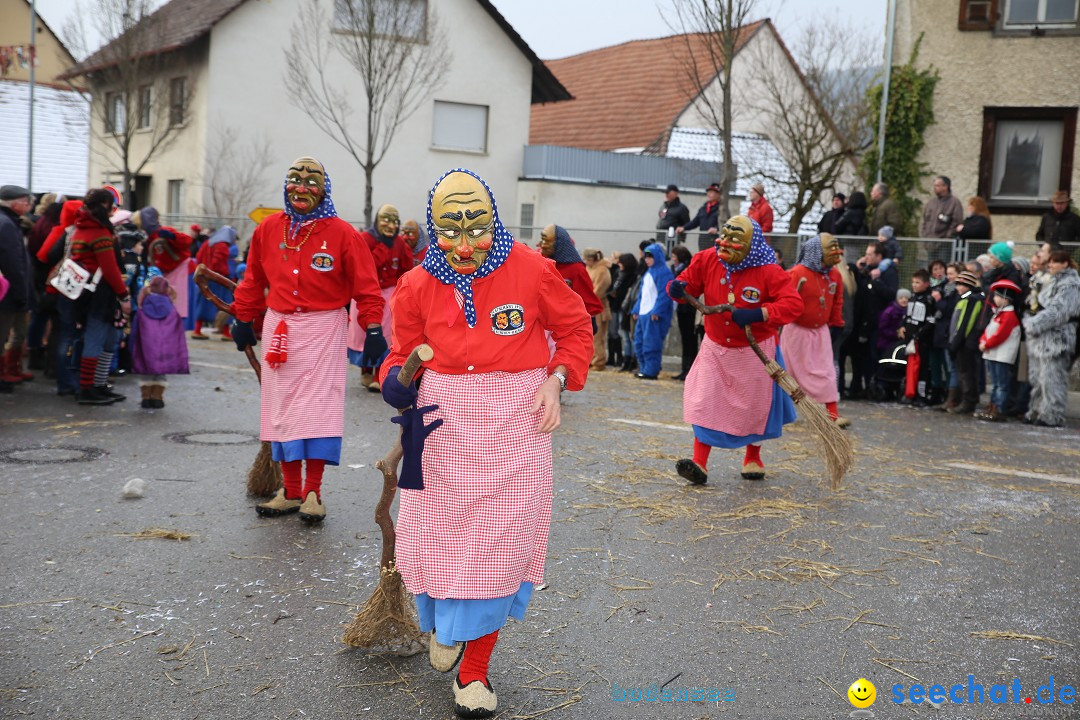 Fasnachtsumzug und Narrentage: Welschingen, 24.01.2016