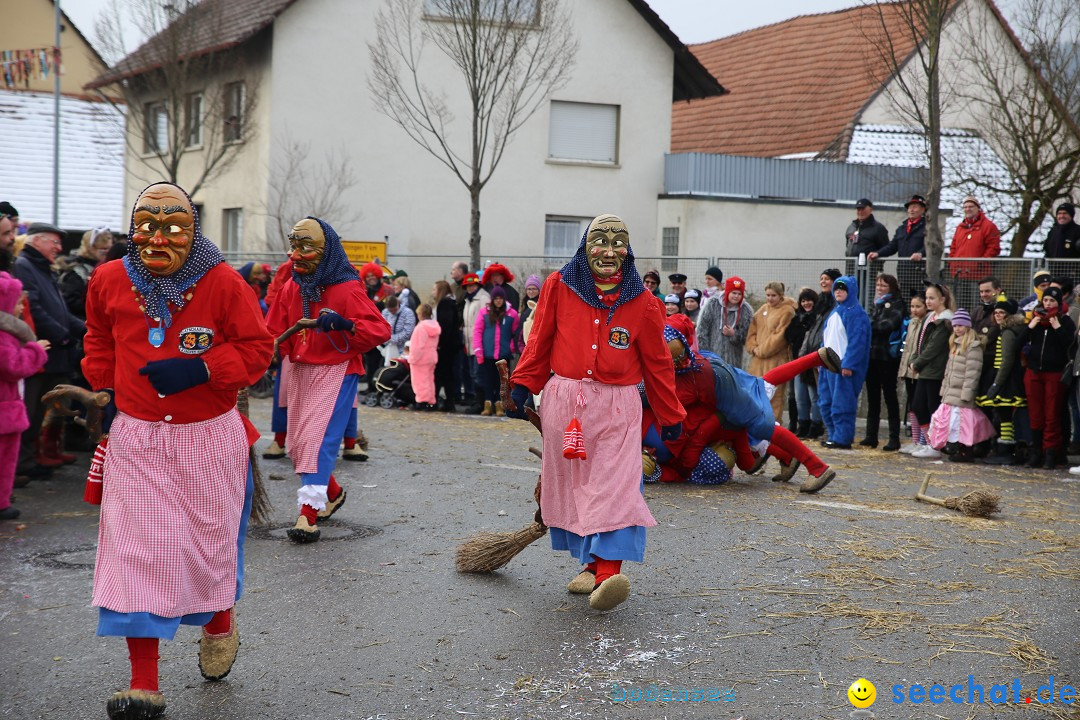 Fasnachtsumzug und Narrentage: Welschingen, 24.01.2016