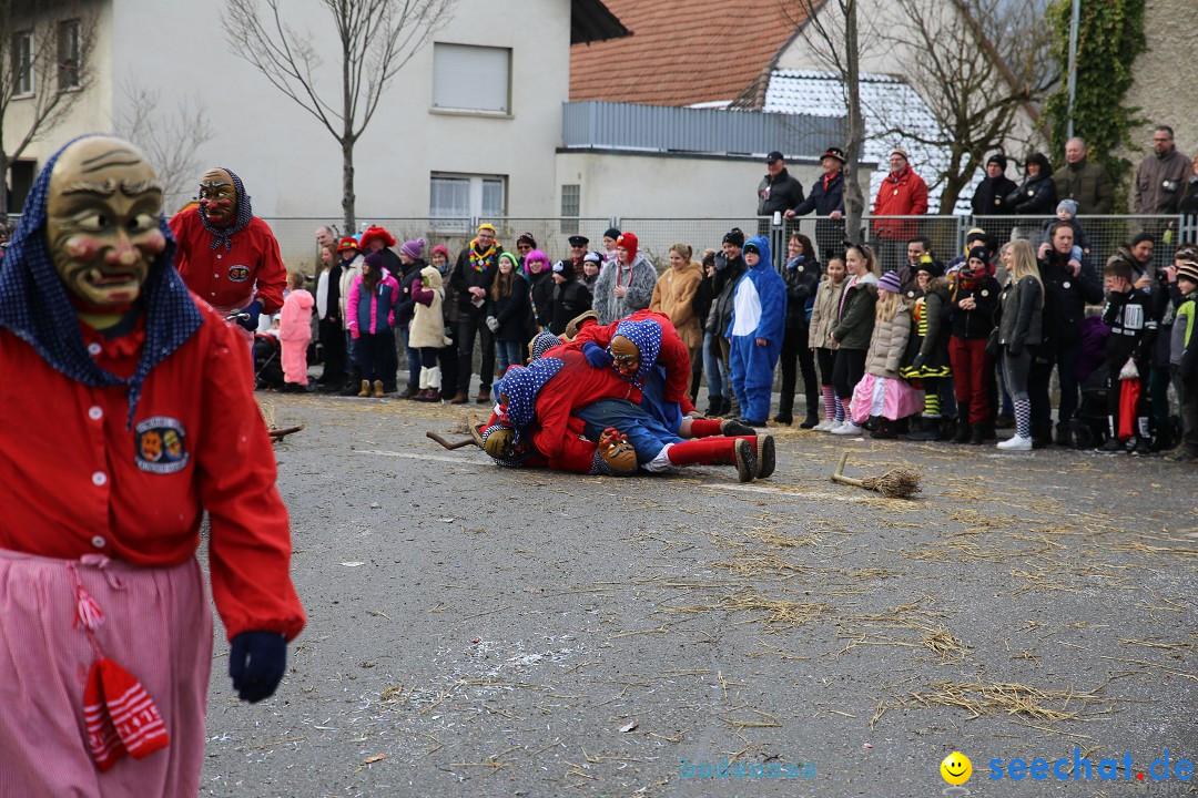 Fasnachtsumzug und Narrentage: Welschingen, 24.01.2016