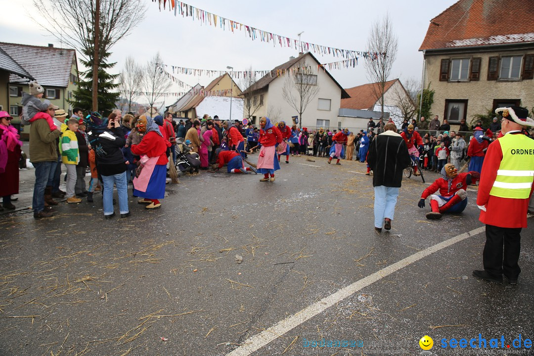 Fasnachtsumzug und Narrentage: Welschingen, 24.01.2016