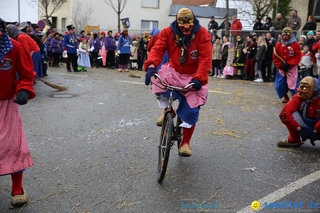 Fasnachtsumzug und Narrentage: Welschingen, 24.01.2016