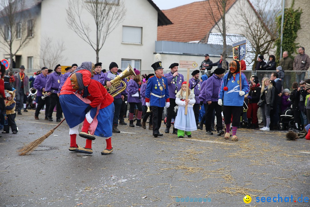 Fasnachtsumzug und Narrentage: Welschingen, 24.01.2016