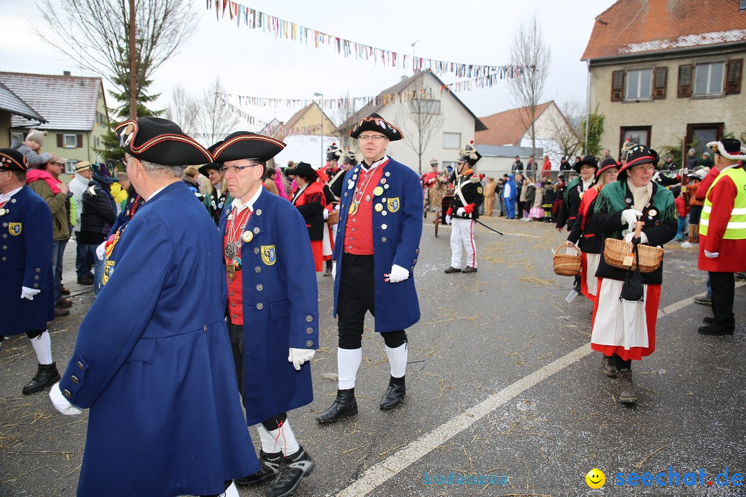 Fasnachtsumzug und Narrentage: Welschingen, 24.01.2016