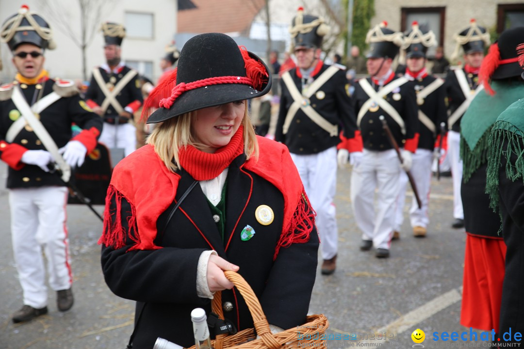 Fasnachtsumzug und Narrentage: Welschingen, 24.01.2016