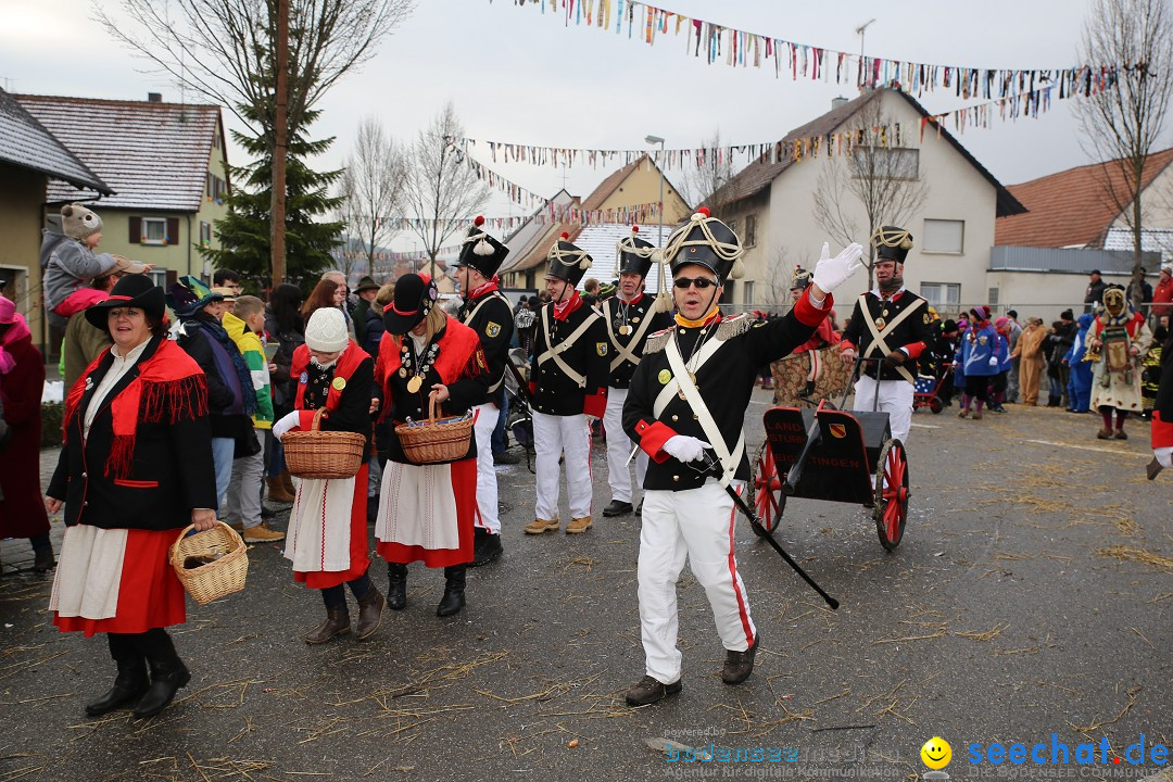 Fasnachtsumzug und Narrentage: Welschingen, 24.01.2016