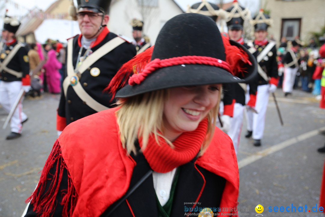 Fasnachtsumzug und Narrentage: Welschingen, 24.01.2016