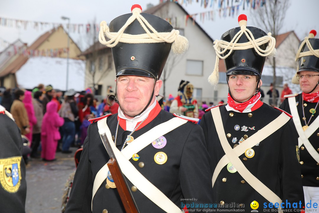 Fasnachtsumzug und Narrentage: Welschingen, 24.01.2016