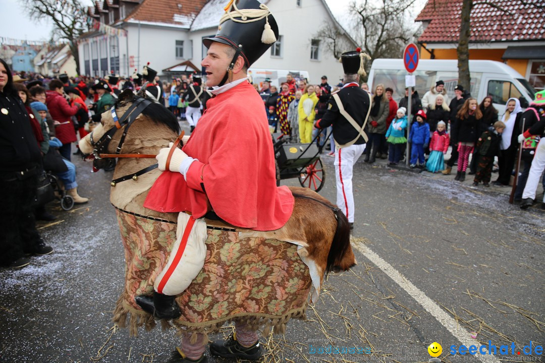 Fasnachtsumzug und Narrentage: Welschingen, 24.01.2016