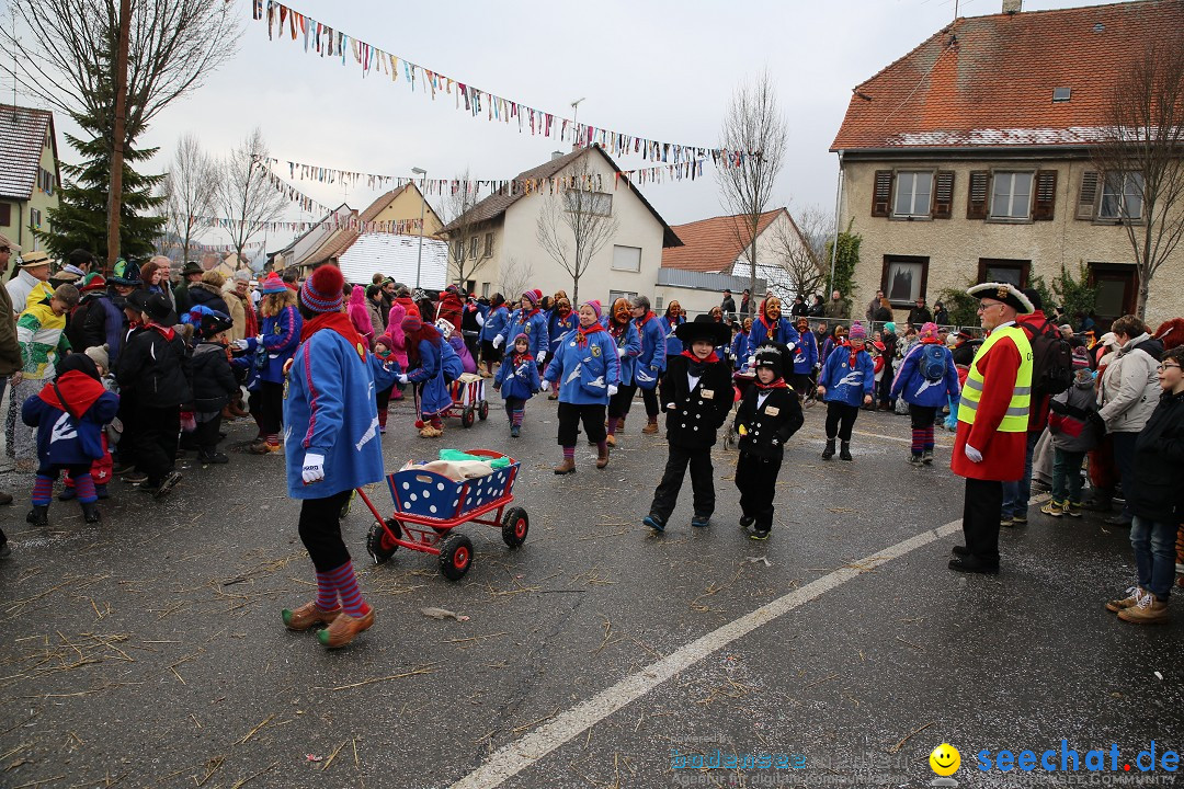 Fasnachtsumzug und Narrentage: Welschingen, 24.01.2016