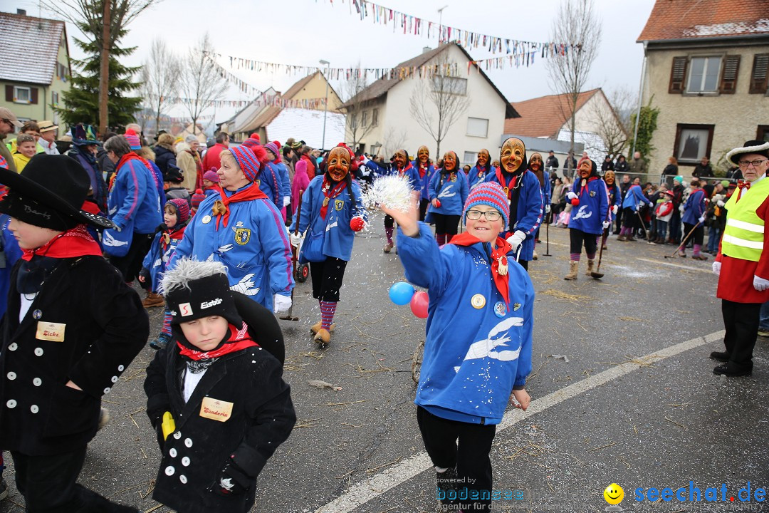 Fasnachtsumzug und Narrentage: Welschingen, 24.01.2016