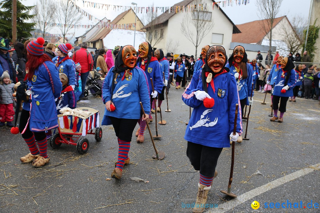 Fasnachtsumzug und Narrentage: Welschingen, 24.01.2016