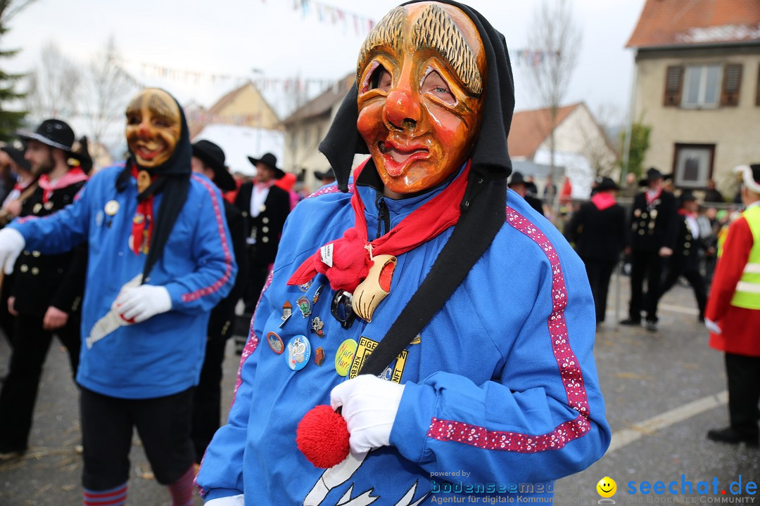 Fasnachtsumzug und Narrentage: Welschingen, 24.01.2016