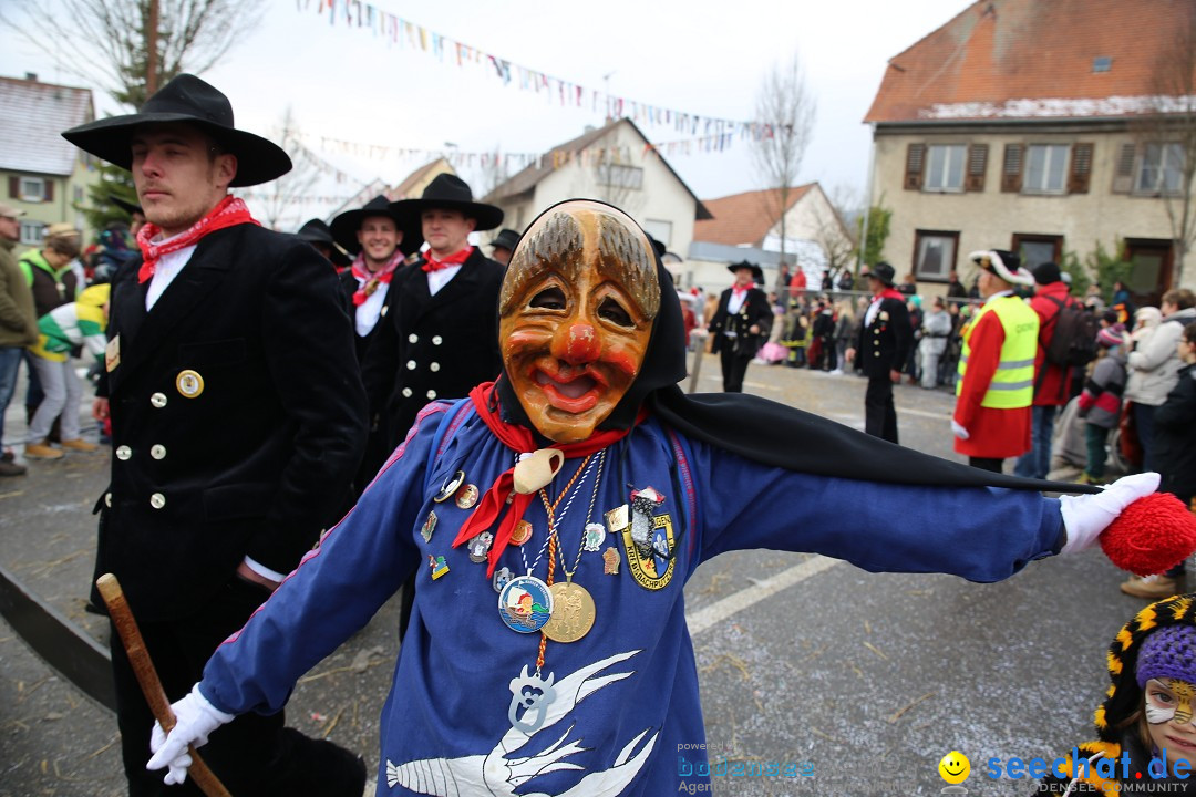 Fasnachtsumzug und Narrentage: Welschingen, 24.01.2016