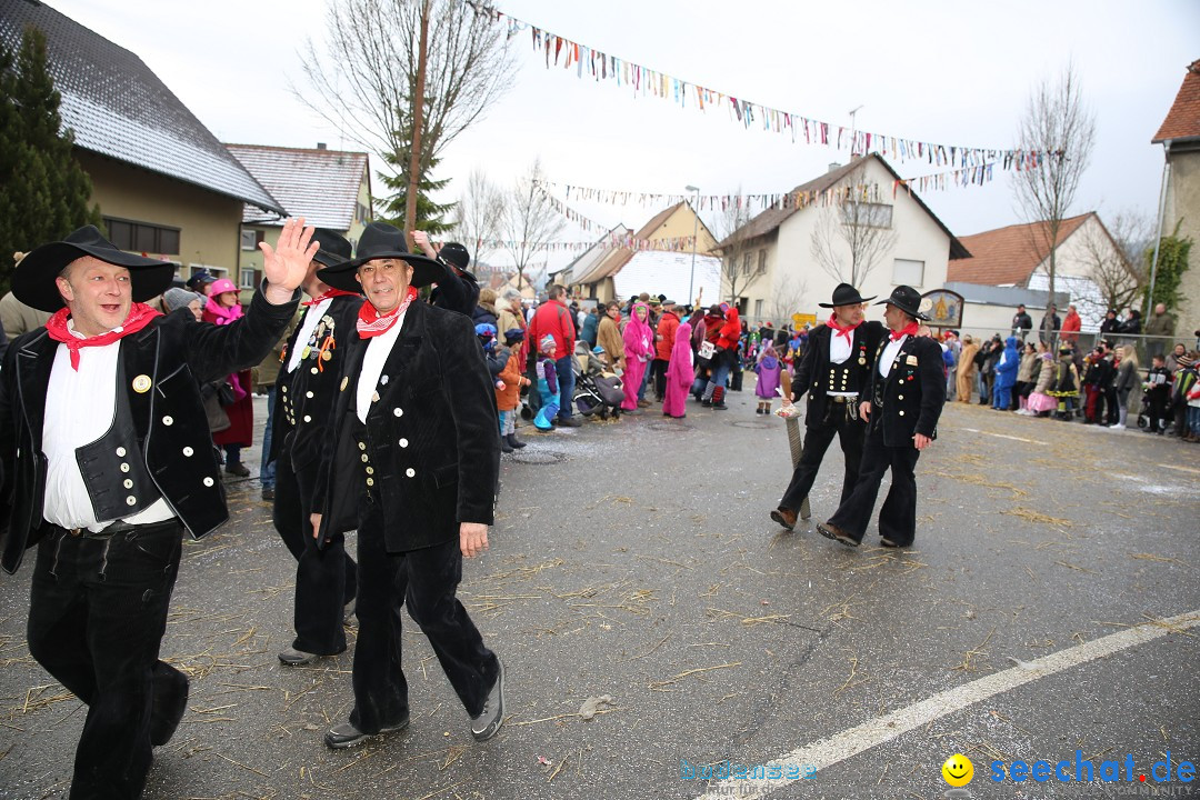 Fasnachtsumzug und Narrentage: Welschingen, 24.01.2016