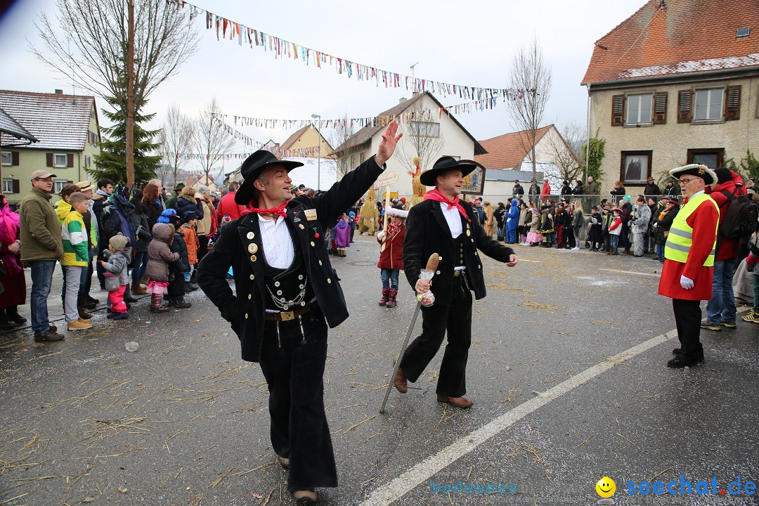 Fasnachtsumzug und Narrentage: Welschingen, 24.01.2016