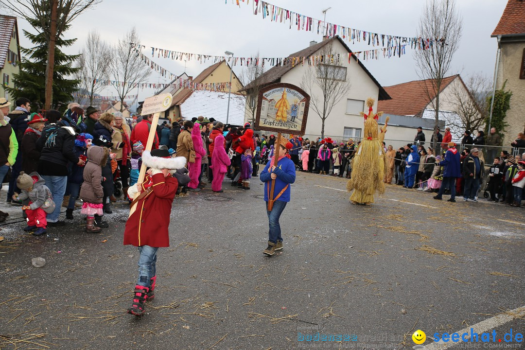 Fasnachtsumzug und Narrentage: Welschingen, 24.01.2016