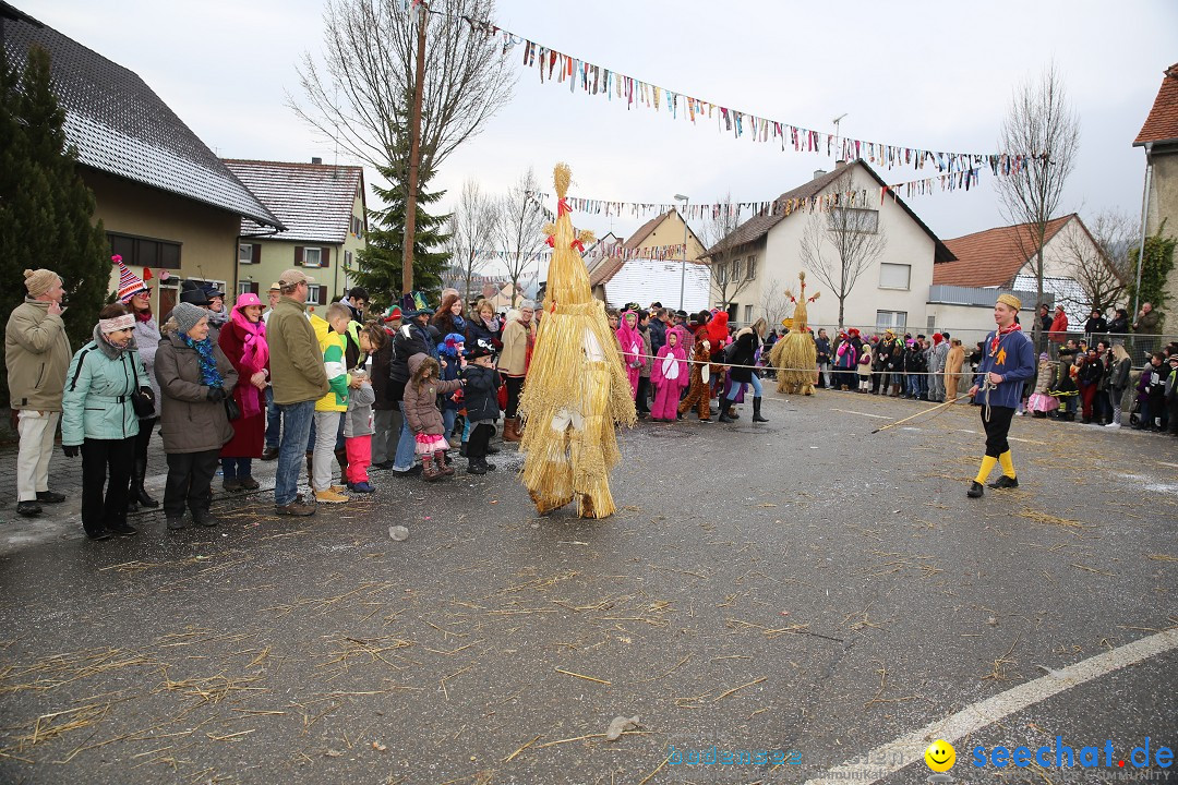 Fasnachtsumzug und Narrentage: Welschingen, 24.01.2016