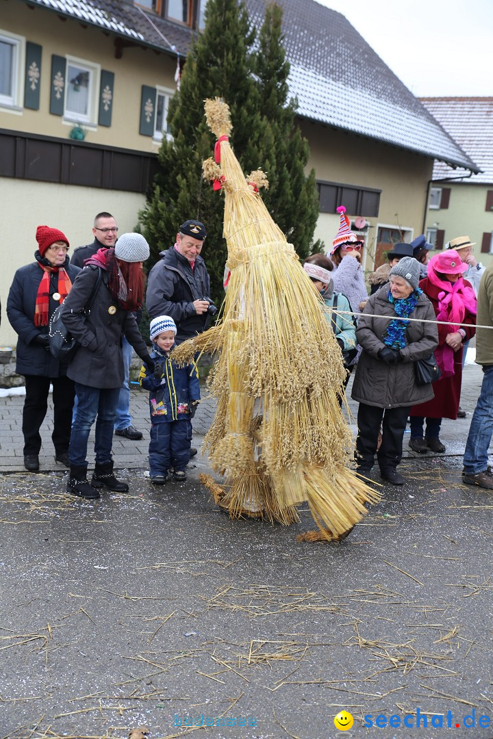 Fasnachtsumzug und Narrentage: Welschingen, 24.01.2016