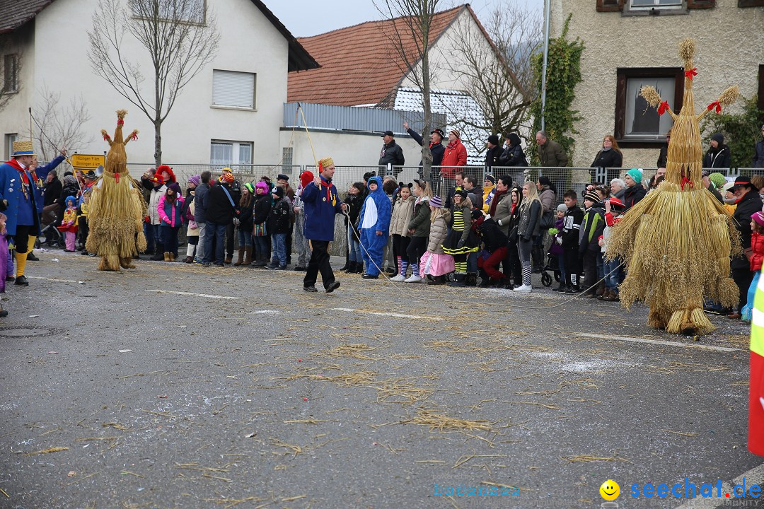 Fasnachtsumzug und Narrentage: Welschingen, 24.01.2016