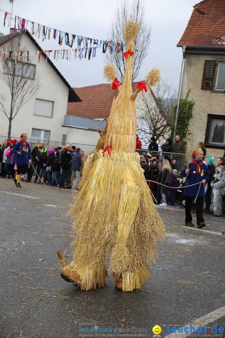 Fasnachtsumzug und Narrentage: Welschingen, 24.01.2016