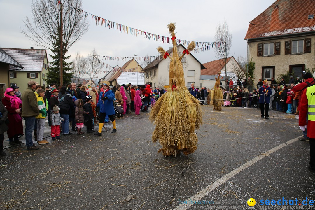 Fasnachtsumzug und Narrentage: Welschingen, 24.01.2016